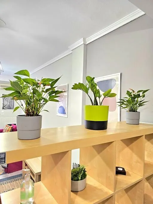 Yellow Kitchen Apartment, City Central Location Thessaloniki 0*,  Greece